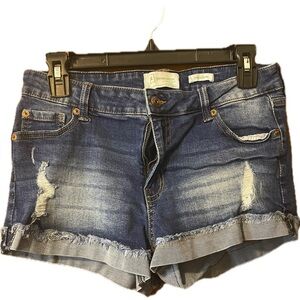 EUC Re Generation distressed denim shorts